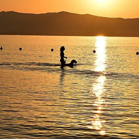 度假居 Penny In The Sea